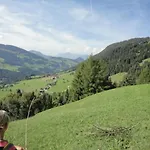 Hanslerfeld *