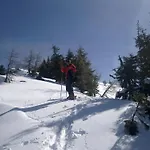 Hanslerfeld Alpbach