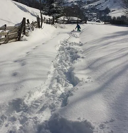Daire Hanslerfeld Alpbach