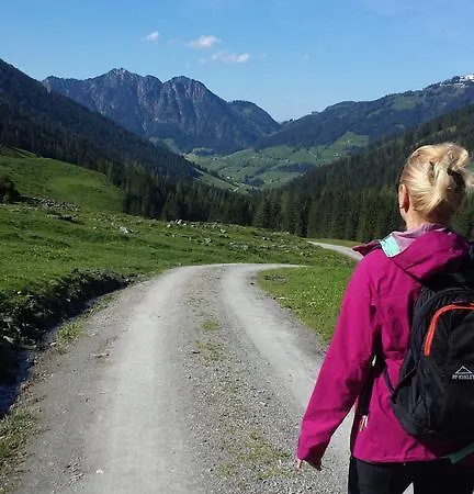 Hanslerfeld Daire Alpbach