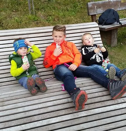 Διαμέρισμα Hanslerfeld *