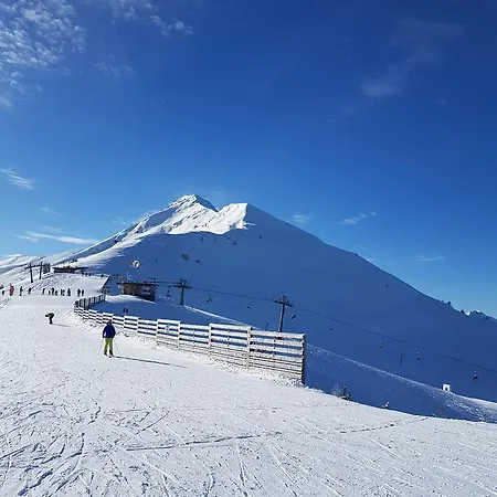 Апартаменты Hanslerfeld *