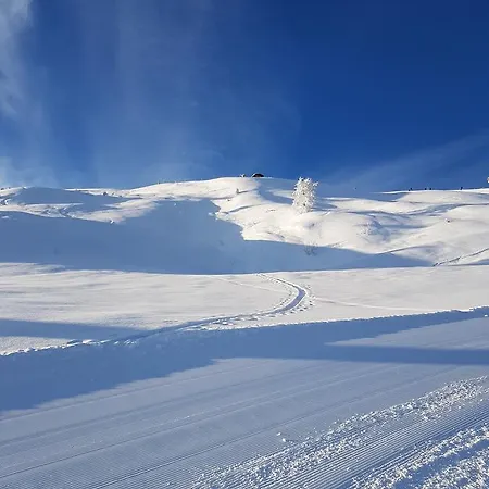 Апартаменты Hanslerfeld *