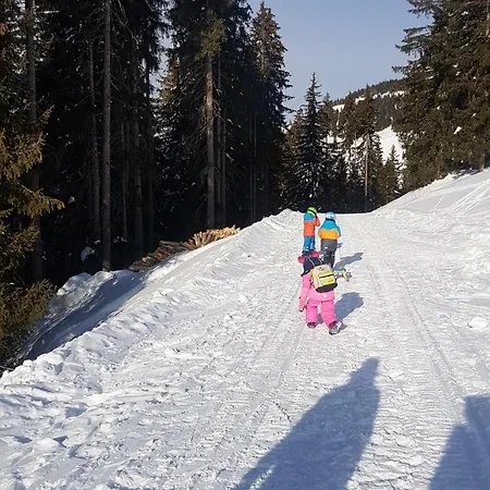 Hanslerfeld Διαμέρισμα Alpbach