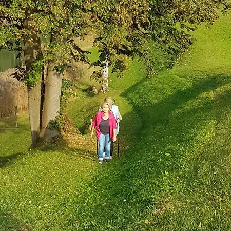Hanslerfeld Daire *