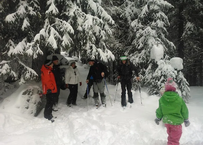 Hanslerfeld Apartment *