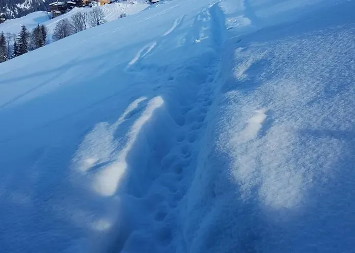 Hanslerfeld Apartment *