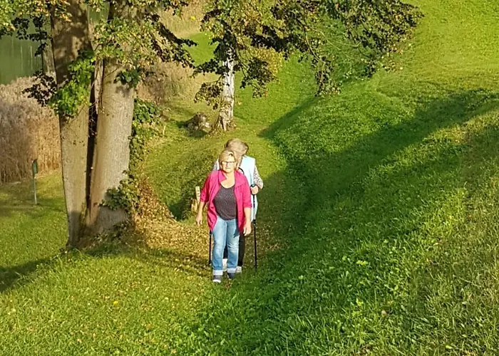 Hanslerfeld Apartment *