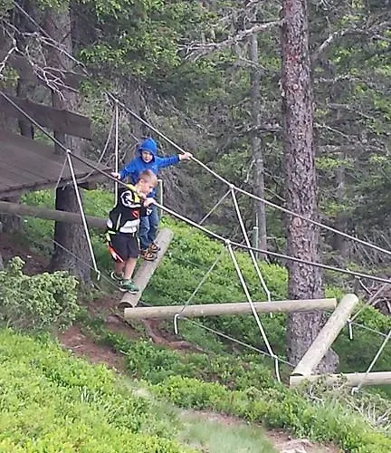 Apartament Hanslerfeld *