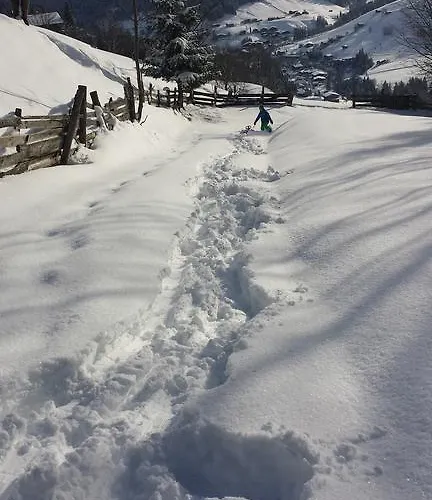 Apartament Hanslerfeld Alpbach