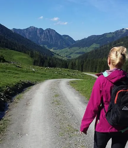 Hanslerfeld Apartament Alpbach