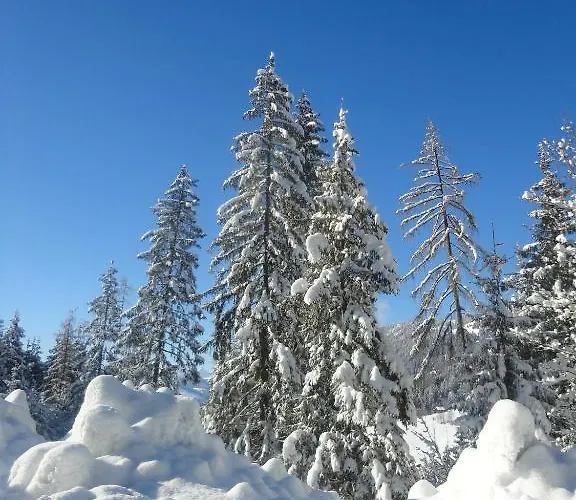 Apartament Hanslerfeld Alpbach