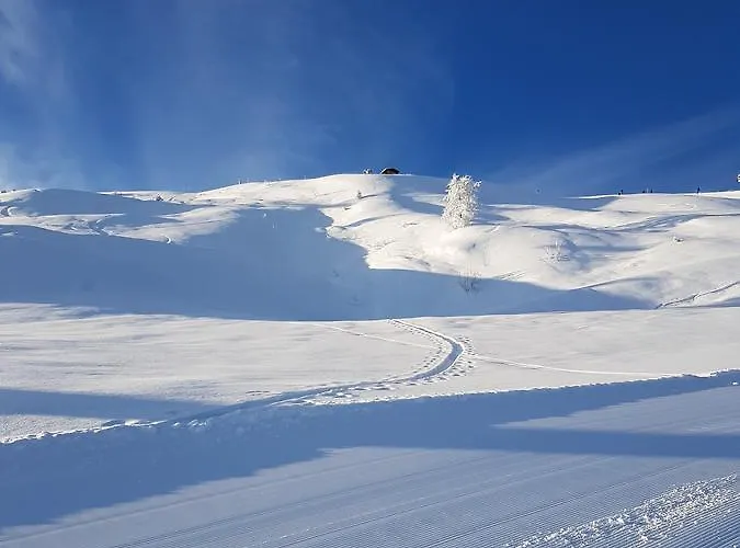 Apartament Hanslerfeld *