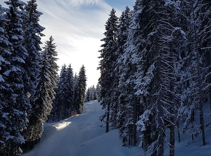 Hanslerfeld Apartament