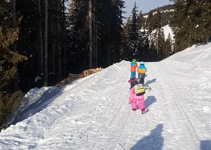 Hanslerfeld Apartament Alpbach