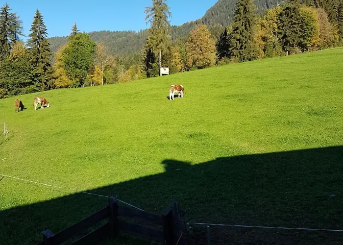 Hanslerfeld Apartament