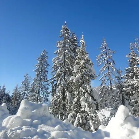 Appartement Hanslerfeld Alpbach